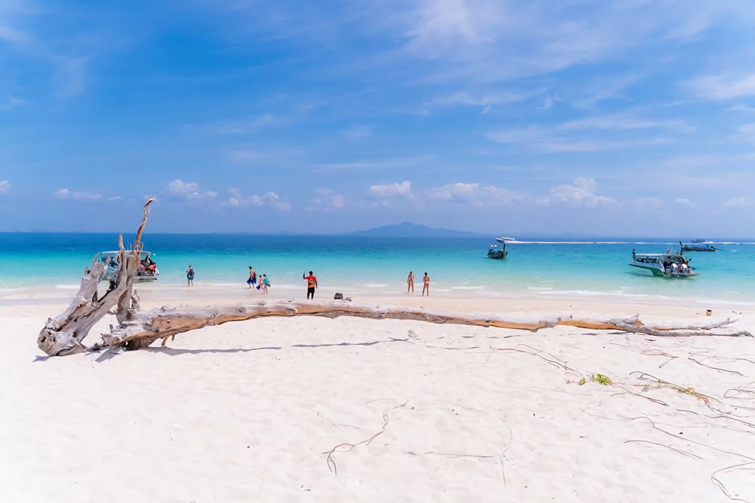Gallery image for Phi Phi + Maya + Bamboo + Maithon Island By Seanery Speed Catamaran