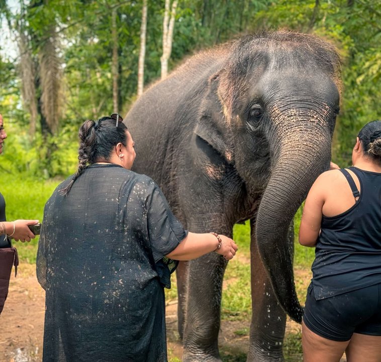 Gallery image for Rafting & Elephant Bathing