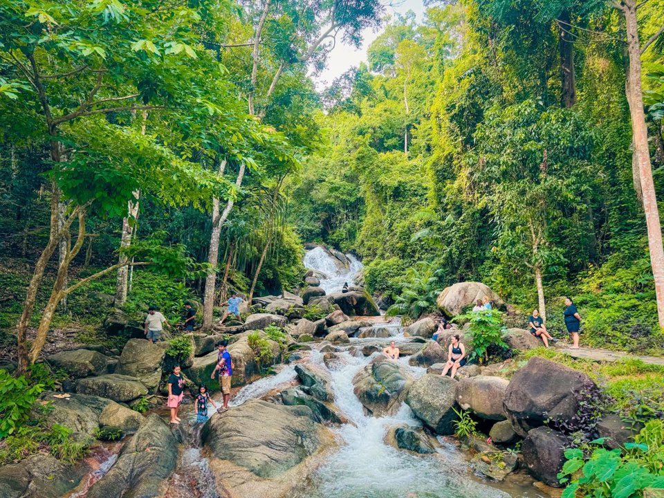 Gallery image for Rafting & Elephant Bathing
