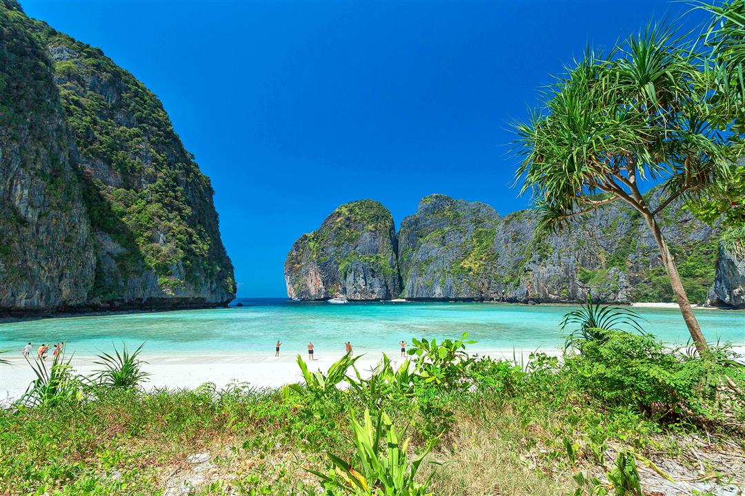 Phi Phi + Maya + Khai Island By Speed boat (Premium service)