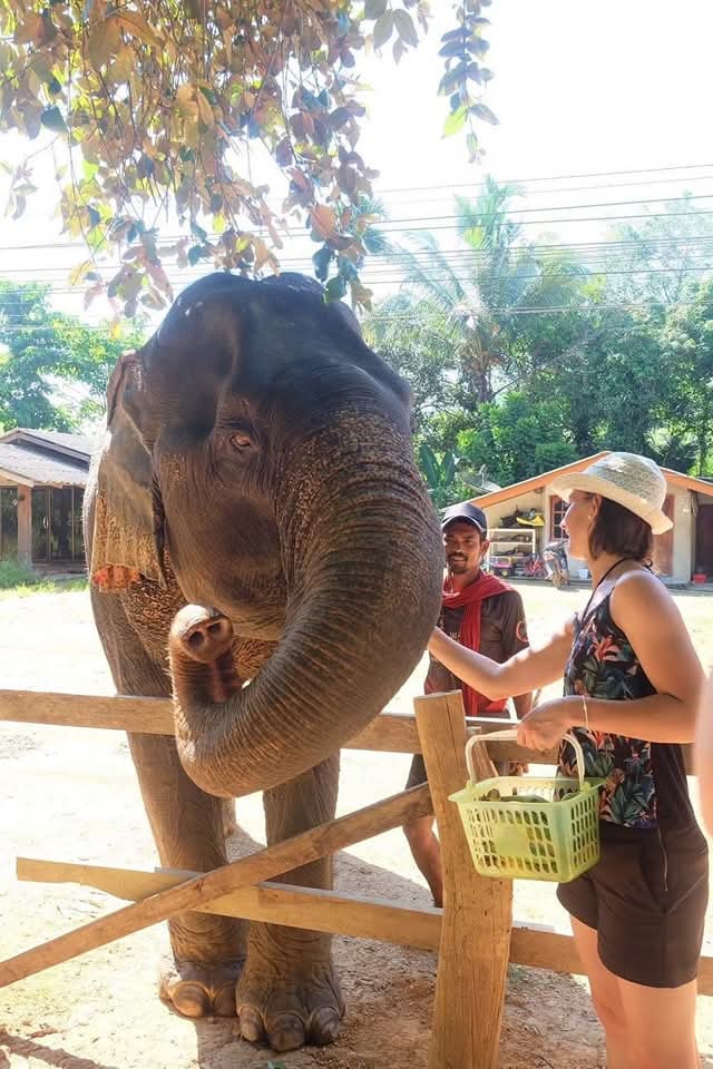 Gallery image for Mega 3: Khao Sok & Cheowlan Over Night 