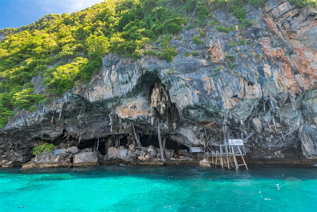 Gallery image for Phi Phi + Maya + Bamboo Island By Speed boat (Premium service)