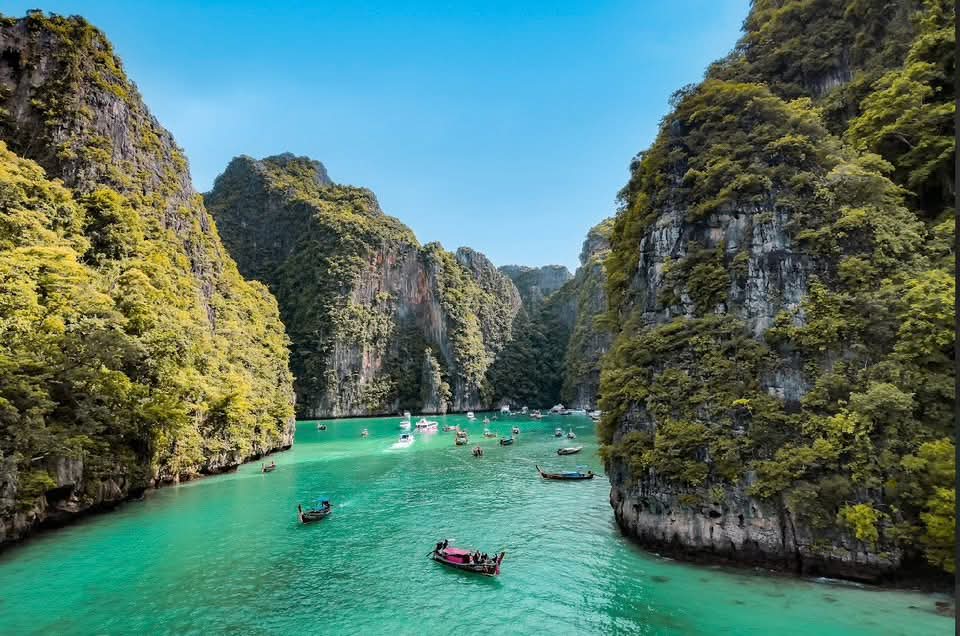 Gallery image for Phi Phi + Maya + Bamboo Island By Speed boat (Premium service)