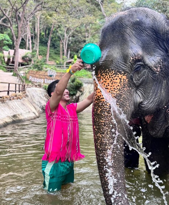 Gallery image for Patong Elephant Hug