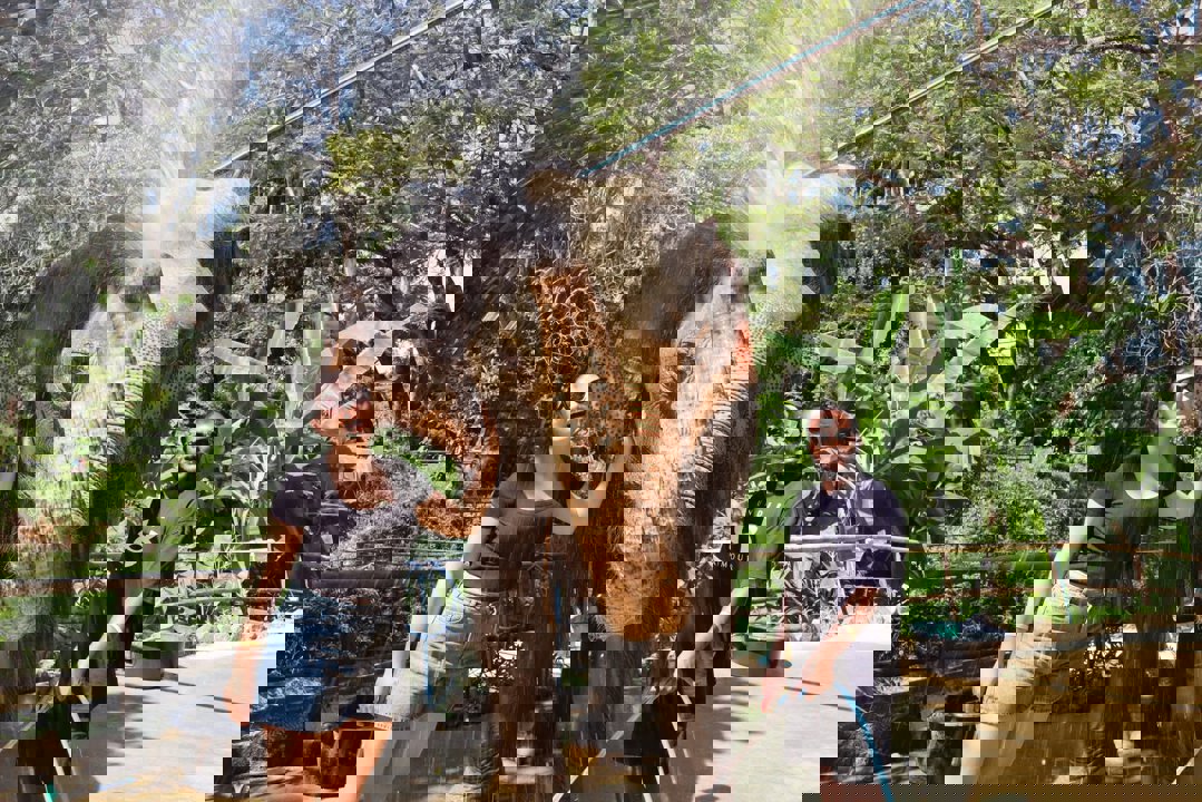 Gallery image for Patong Elephant Hug