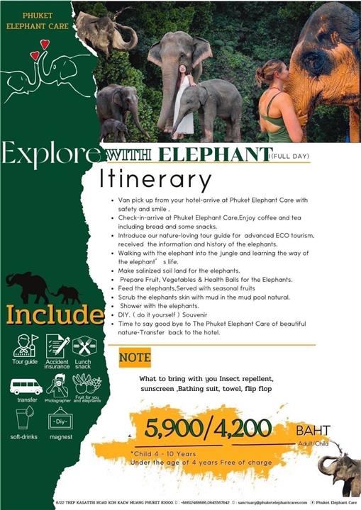 Gallery image for Phuket Elephant Care Sanctuary