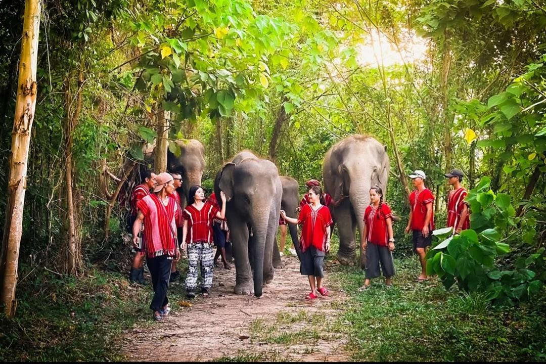 Kerchor Elephant Family
