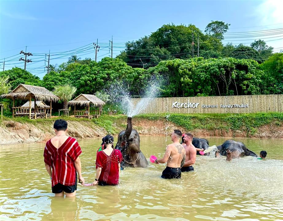 Gallery image for Kerchor Elephant Family