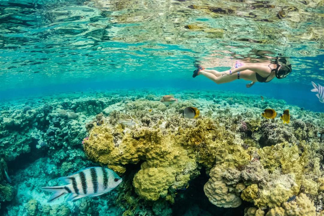 Gallery image for Racha & Coral Island By Sailing Catamaran.